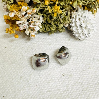 Stainless steel earrings
