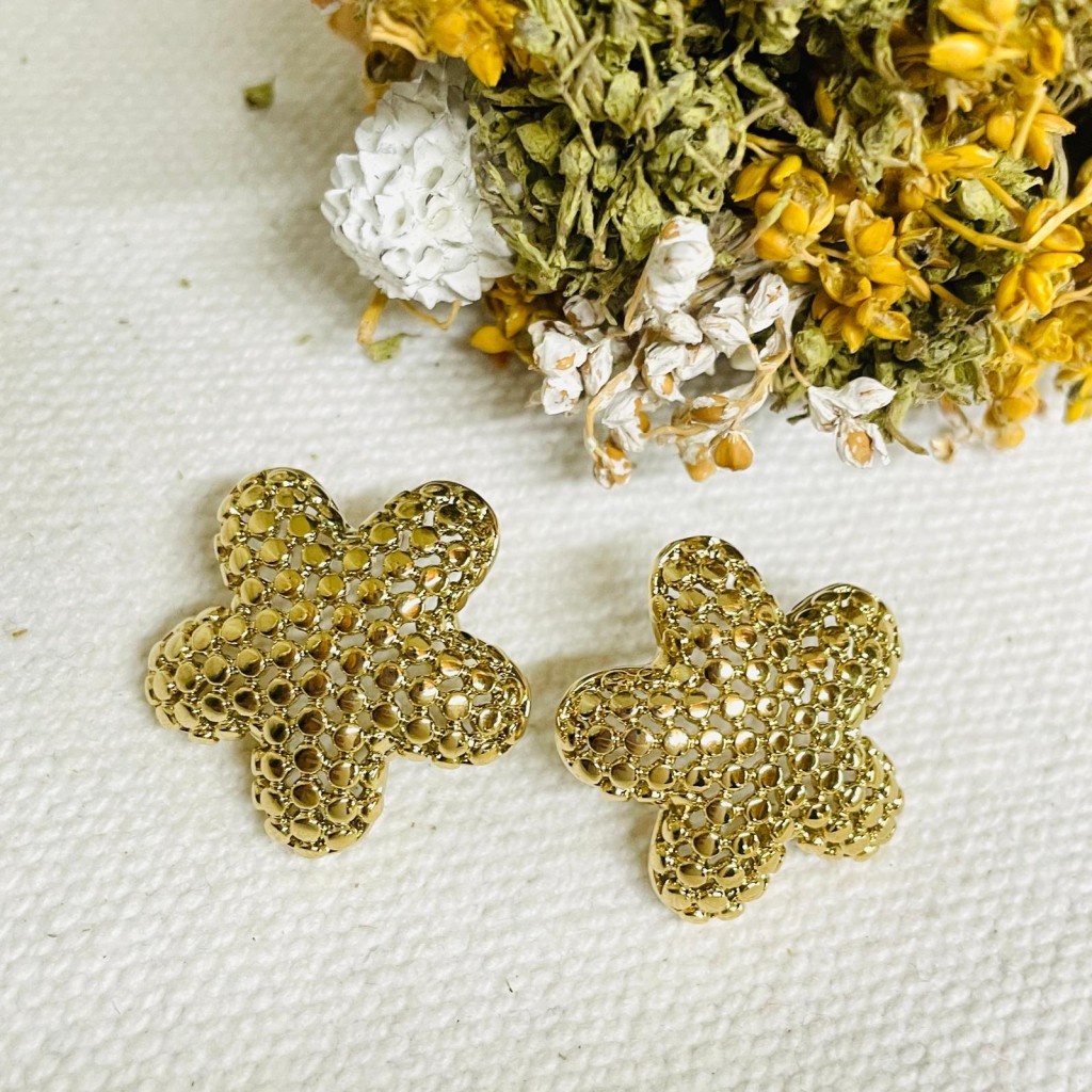 Earrings stainless steel