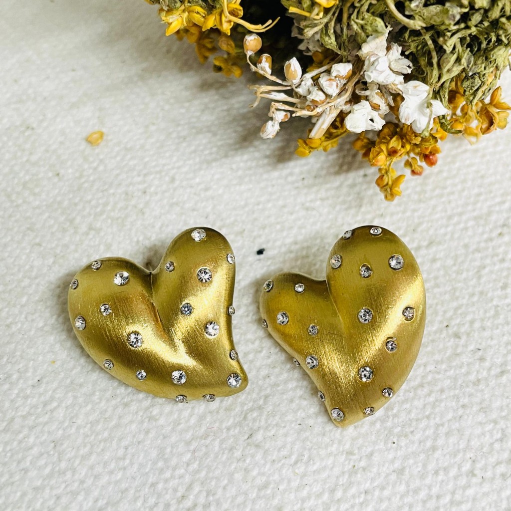 Earrings stainless steel