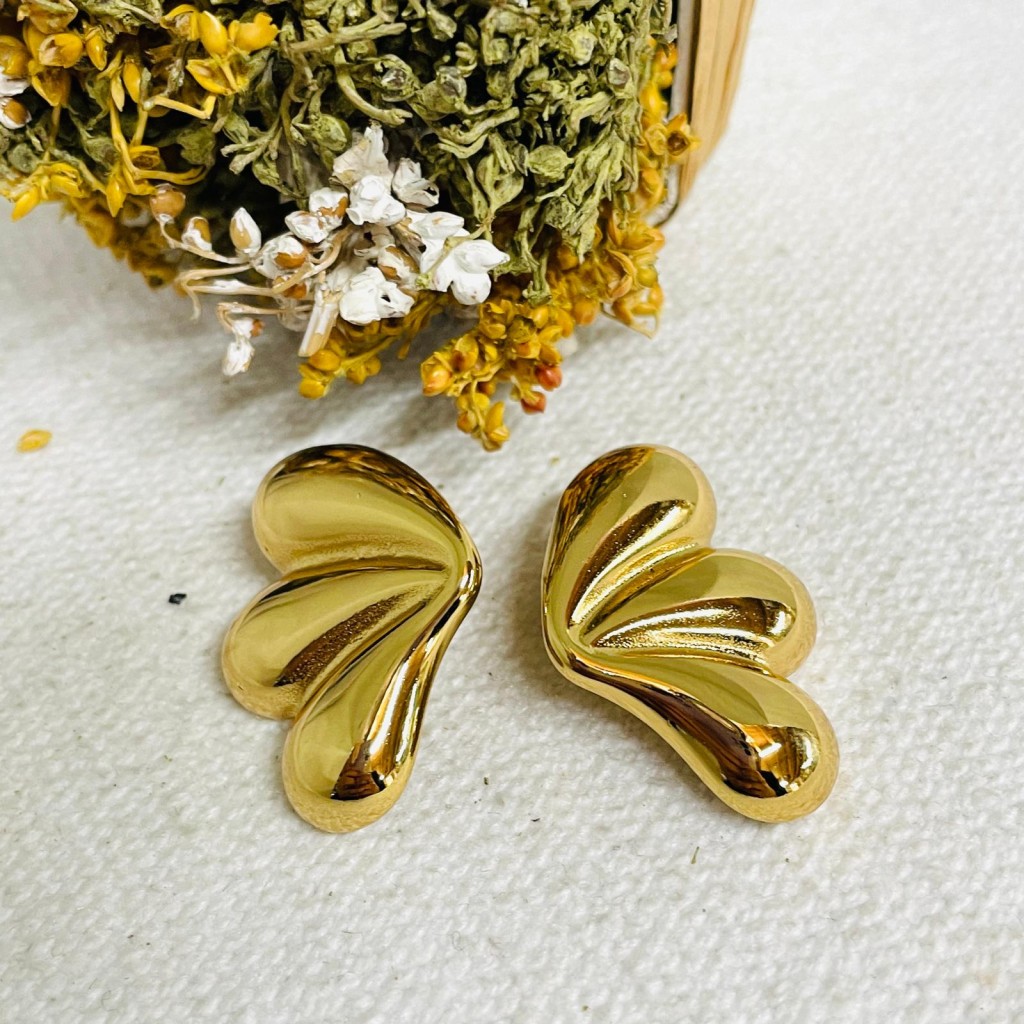 Earrings stainless steel