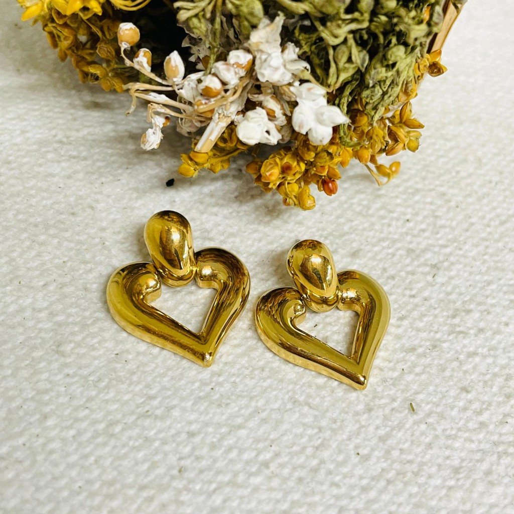 Earrings stainless steel