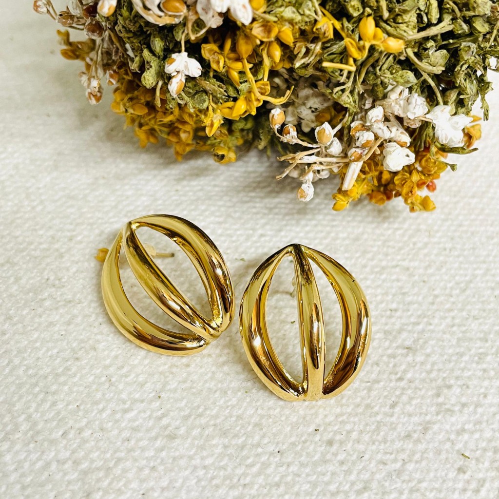 Earrings stainless steel