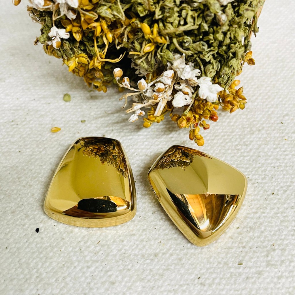 Earrings stainless steel