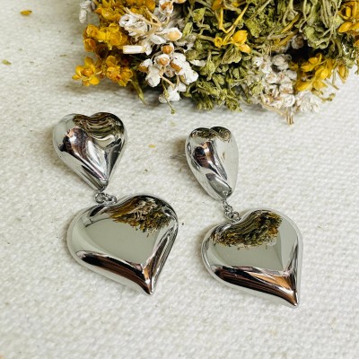 Earrings stainless steel