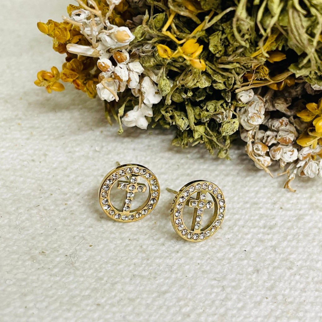 Earrings stainless steel