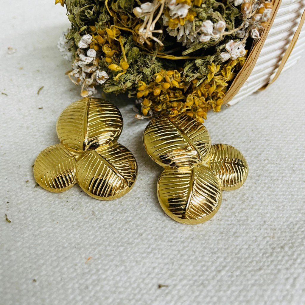 Earrings stainless steel