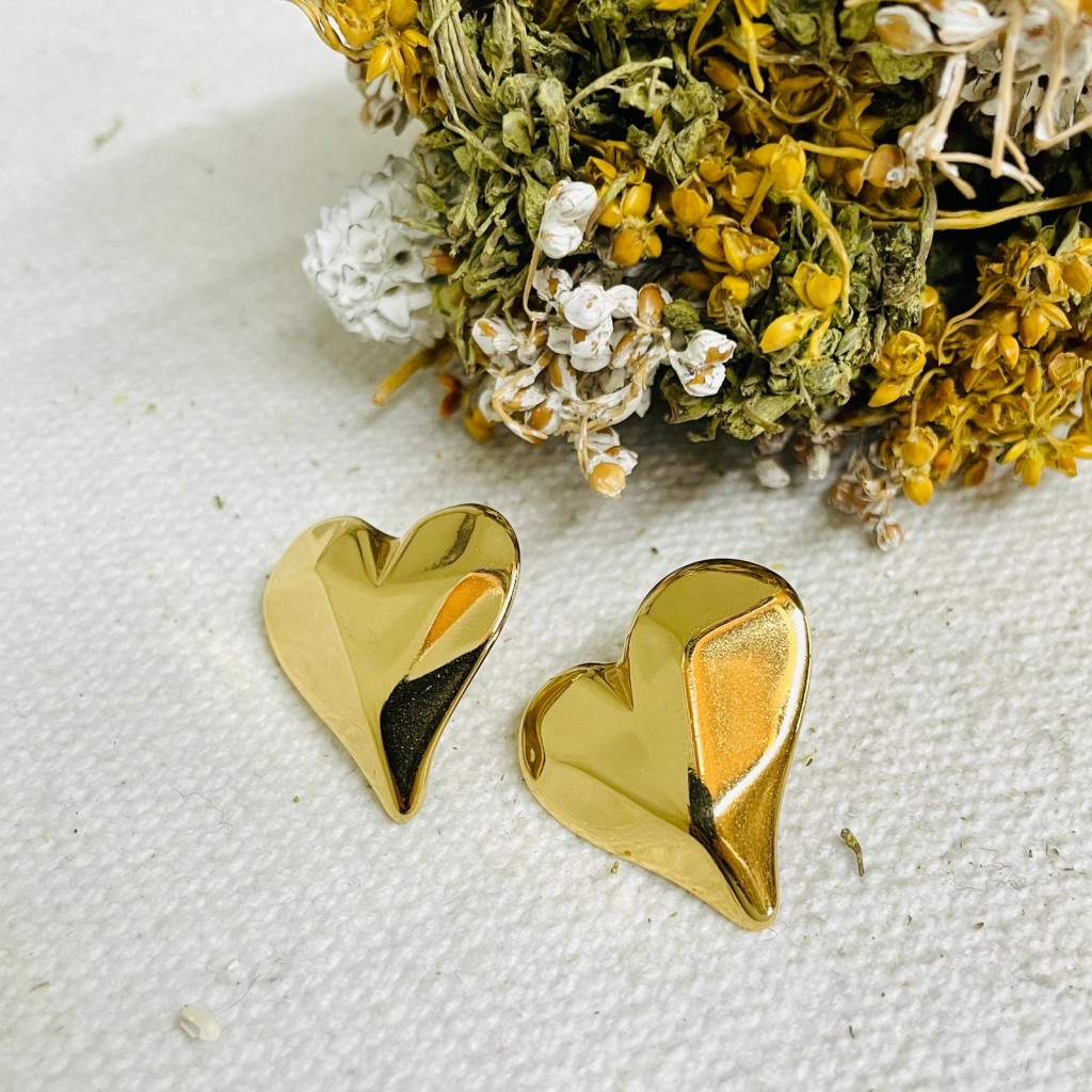 Earrings stainless steel