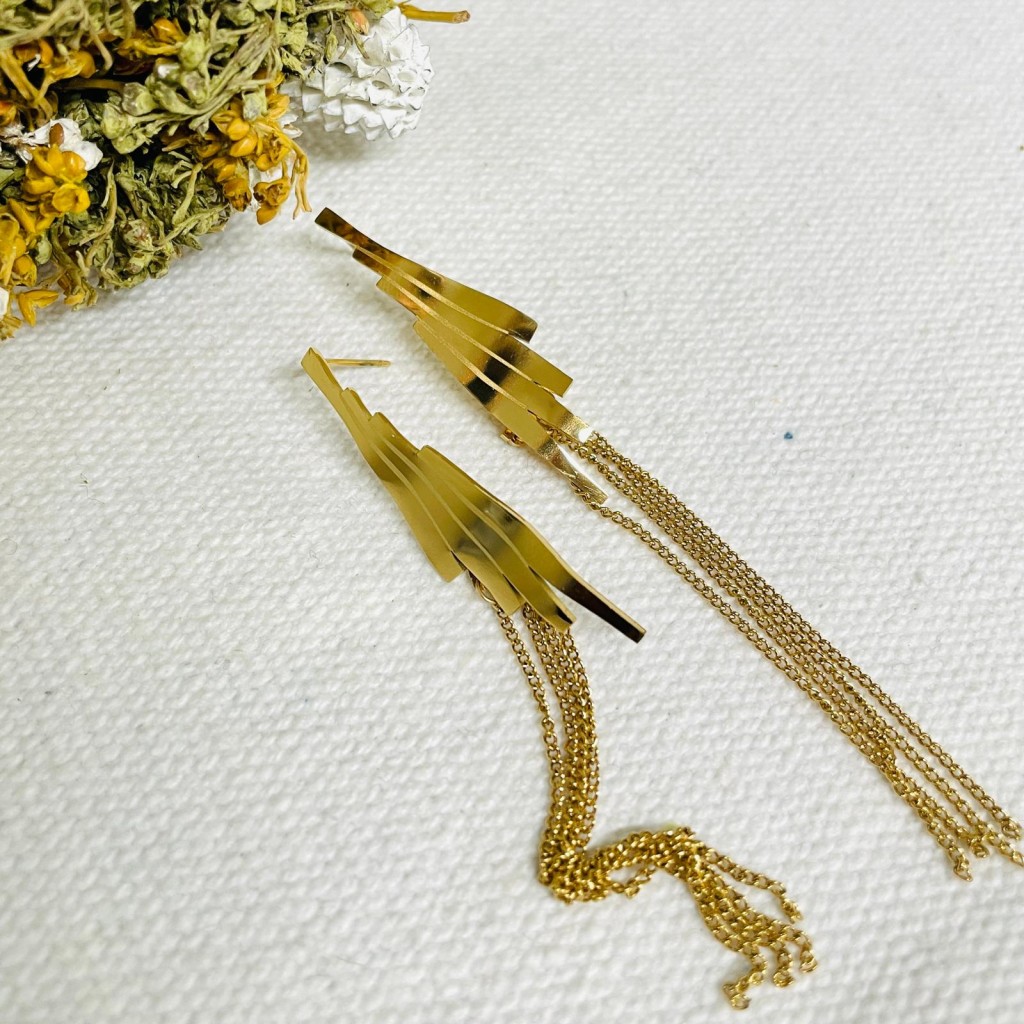 Earrings stainless steel