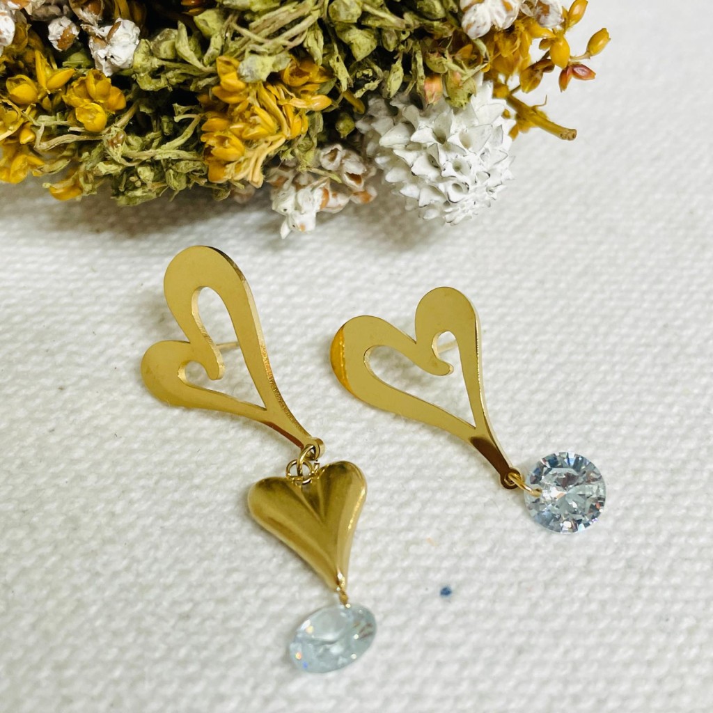 Earrings stainless steel