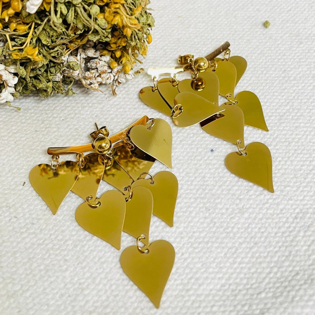 Earrings stainless steel