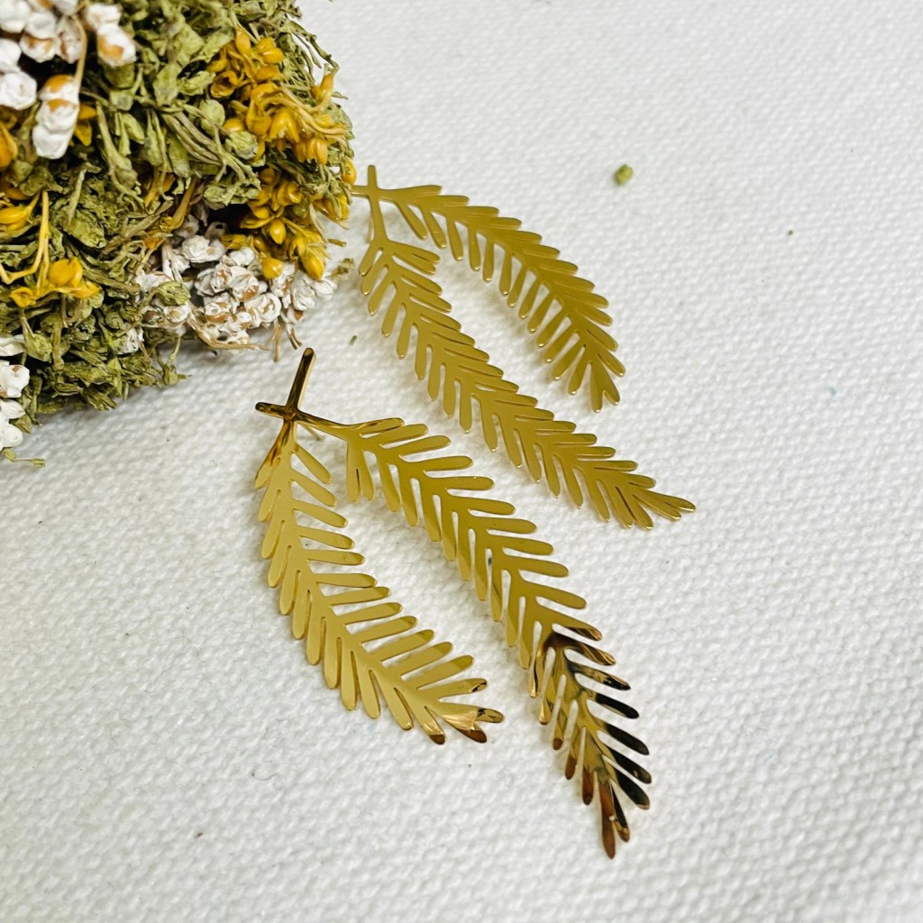 Earrings stainless steel