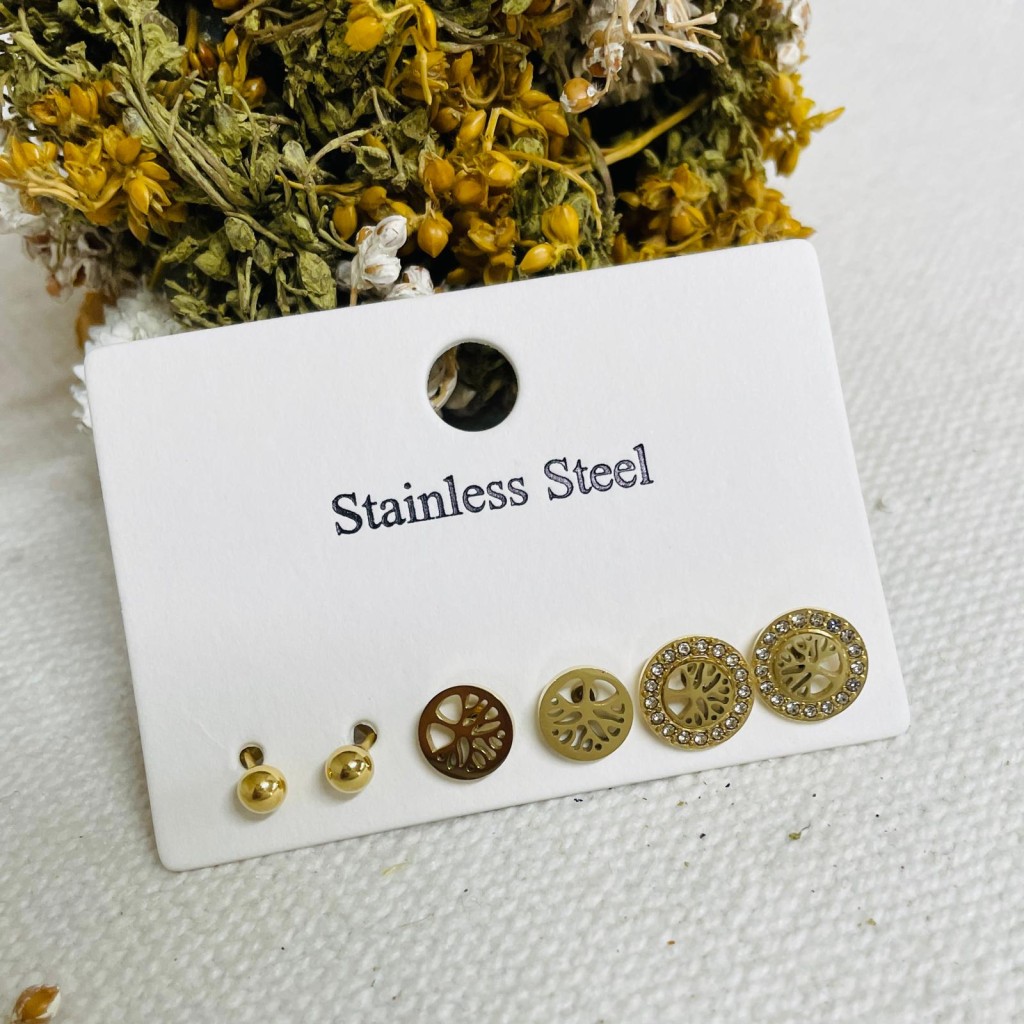 Earrings stainless steel