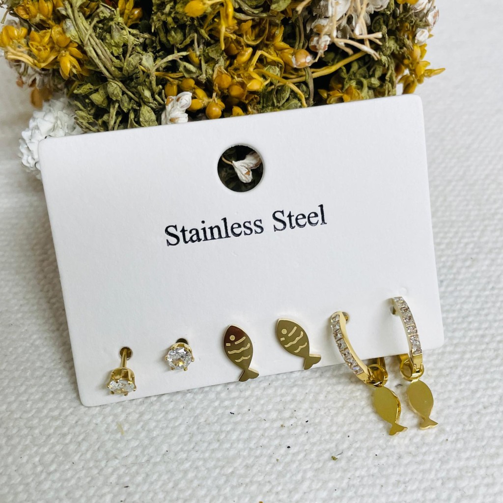 Earrings stainless steel