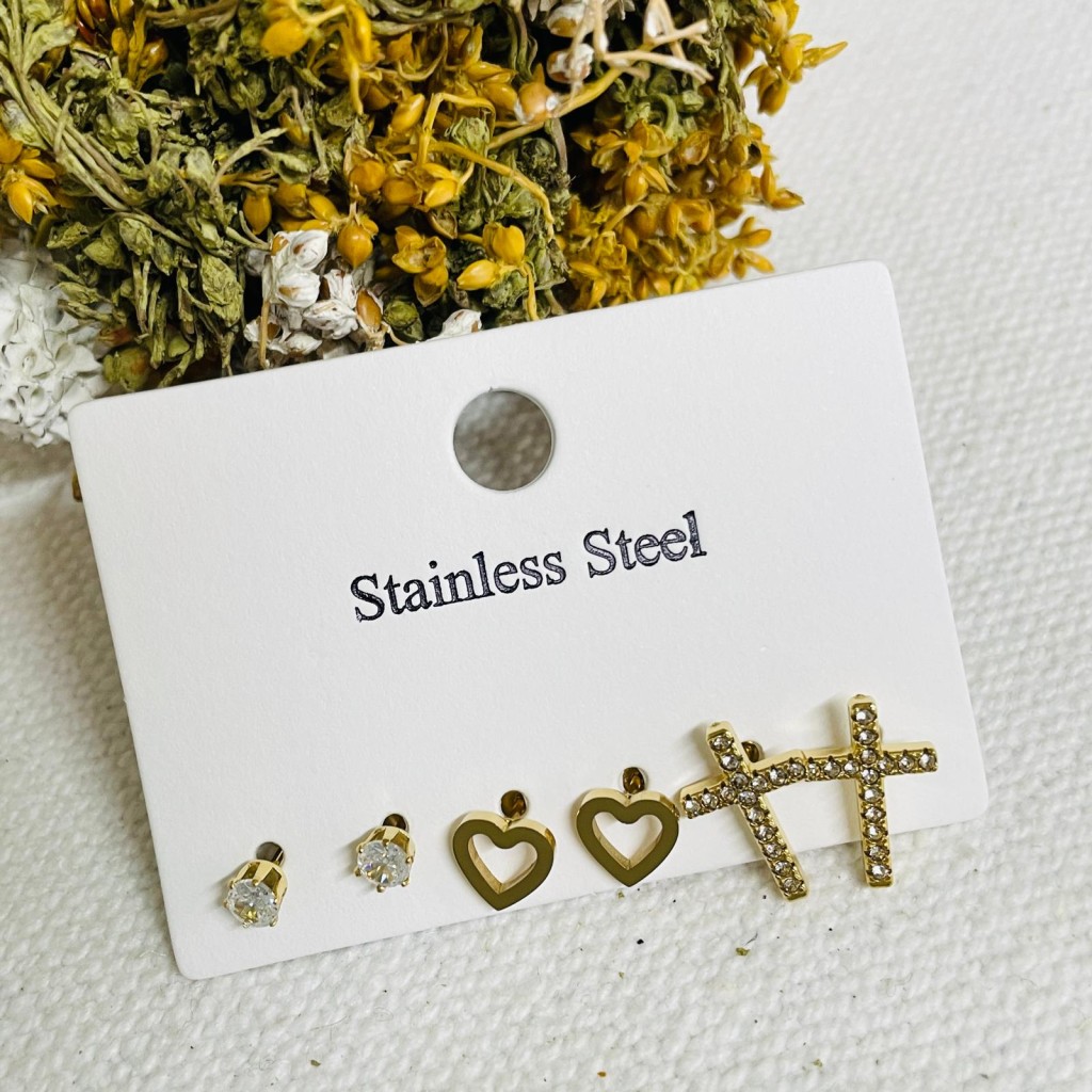 Earrings stainless steel
