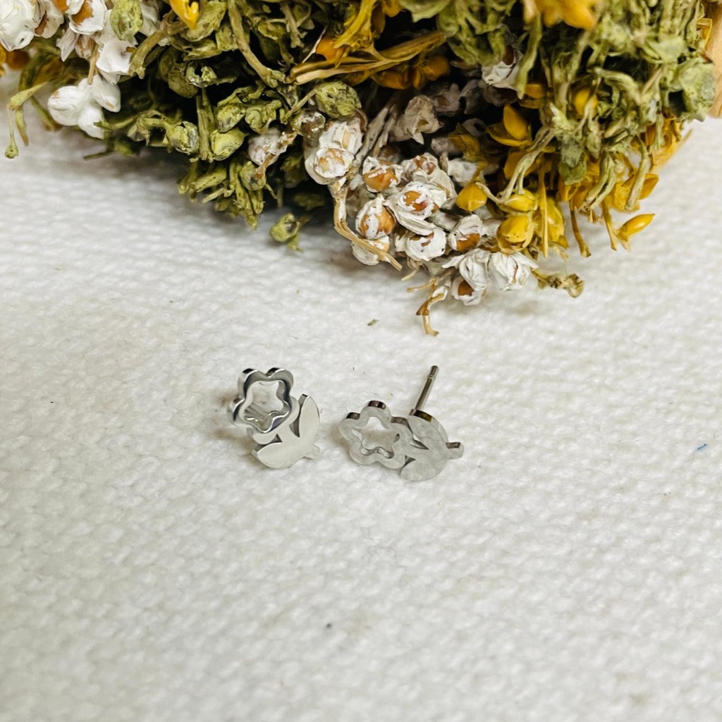 Earrings stainless steel