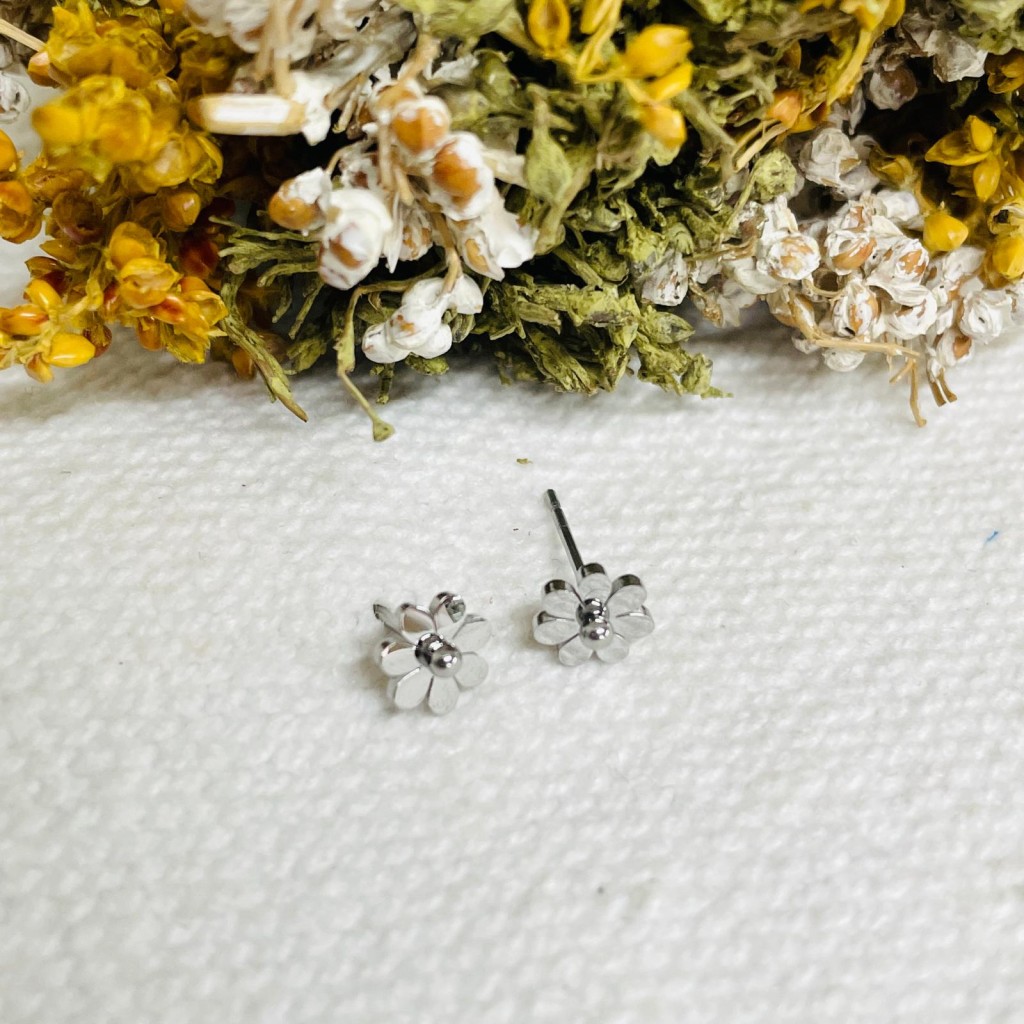 Earrings stainless steel