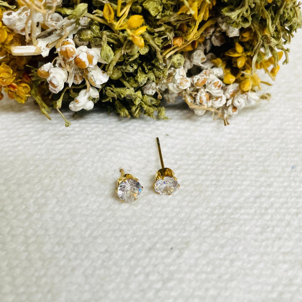 Earrings stainless steel