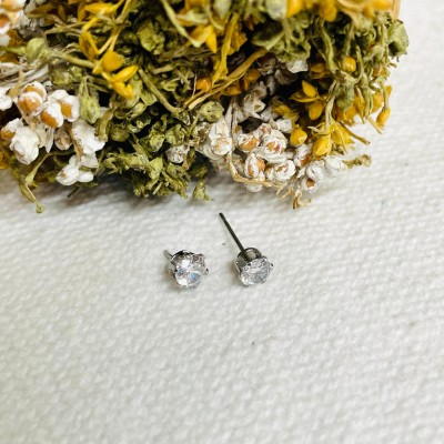 Earrings stainless steel