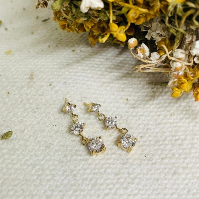 Earrings stainless steel