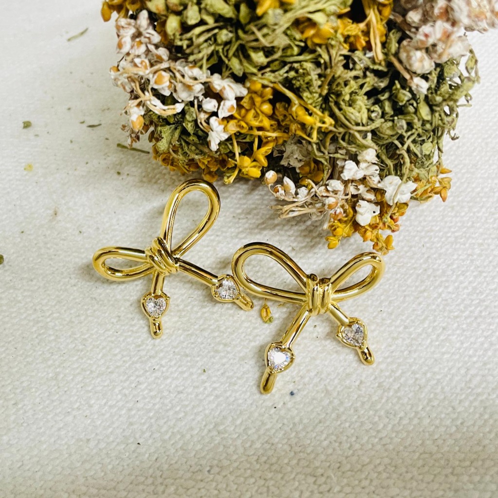 Earrings stainless steel