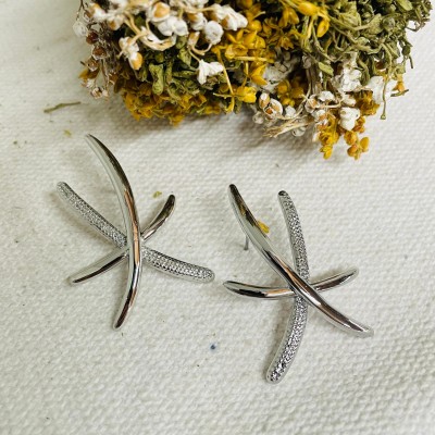 Earrings stainless steel