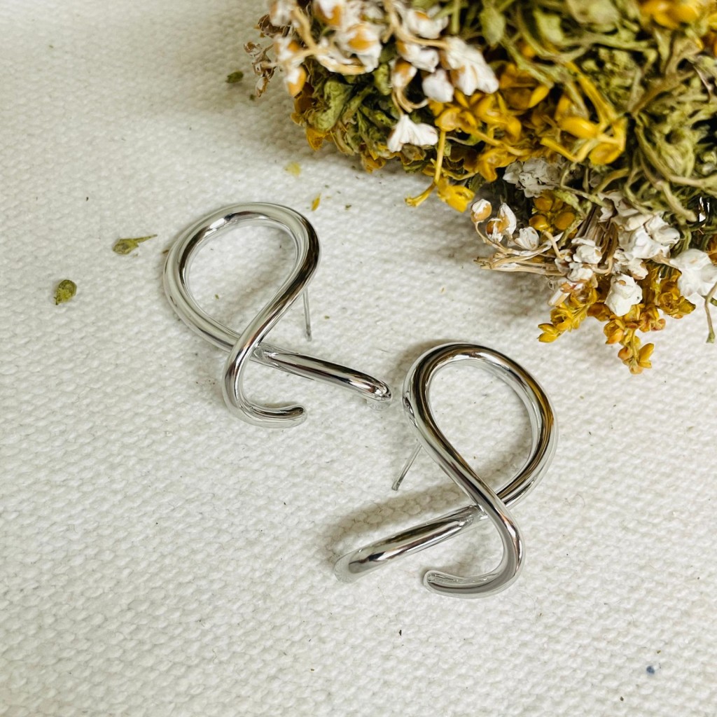 Earrings stainless steel
