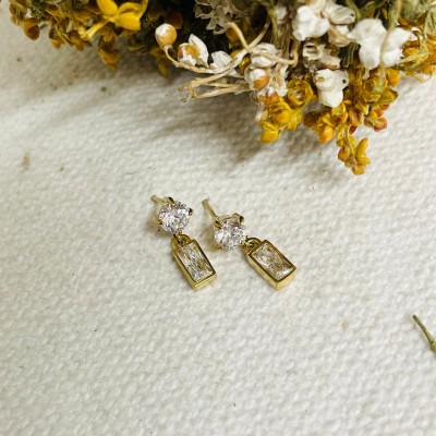 Earrings stainless steel