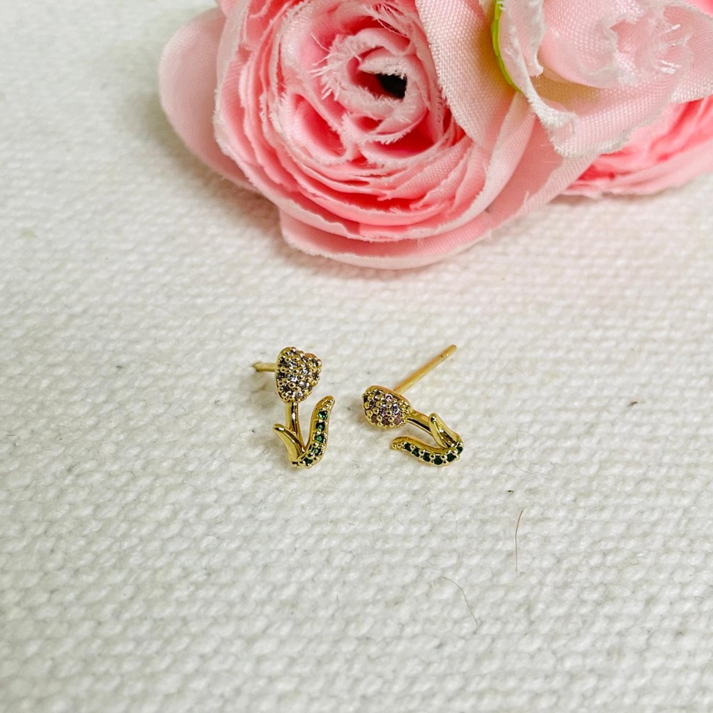 Earrings stainless steel