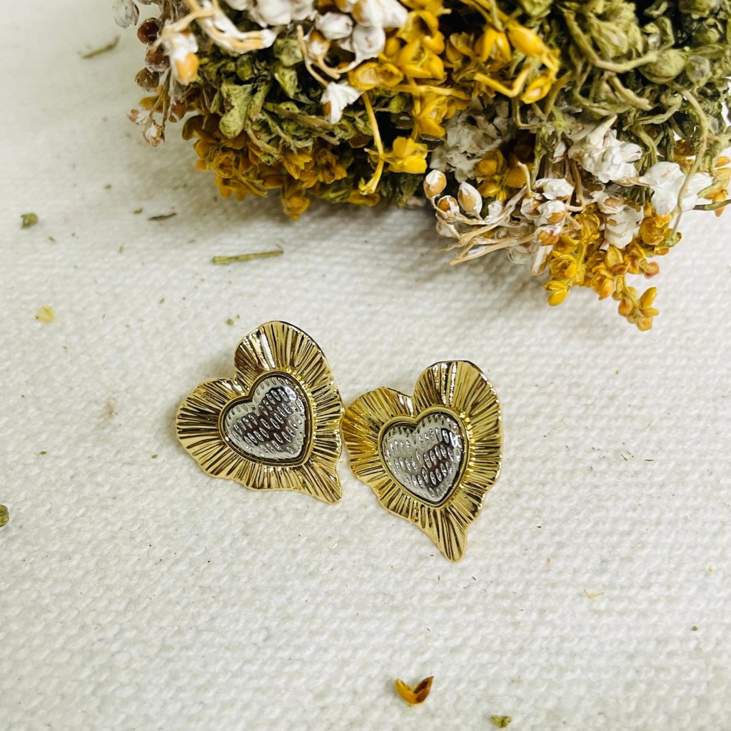 Earrings stainless steel