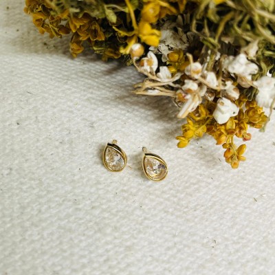 Earrings stainless steel