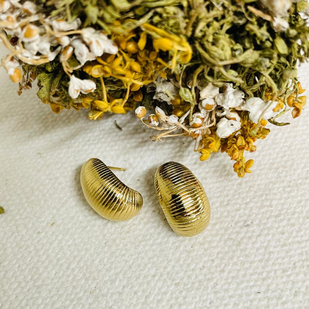 Earrings stainless steel