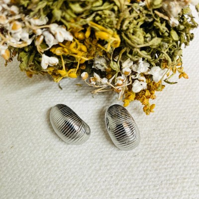 Earrings stainless steel
