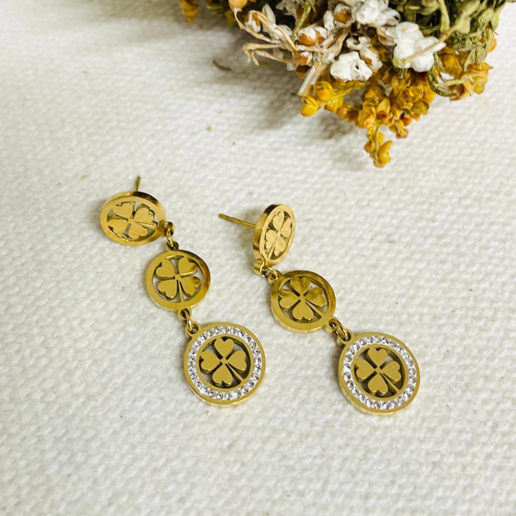Earrings stainless steel