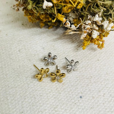 Earrings stainless steel
