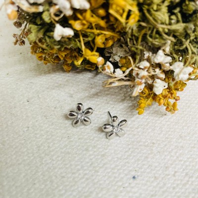 Earrings stainless steel
