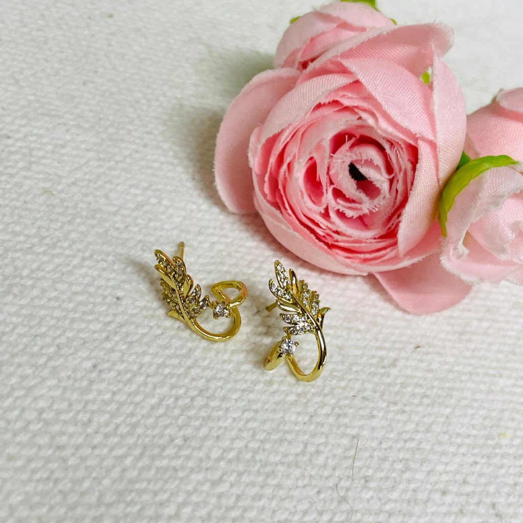 Earrings stainless steel