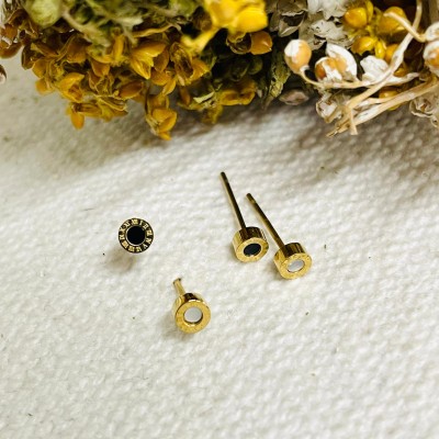 Earrings stainless steel