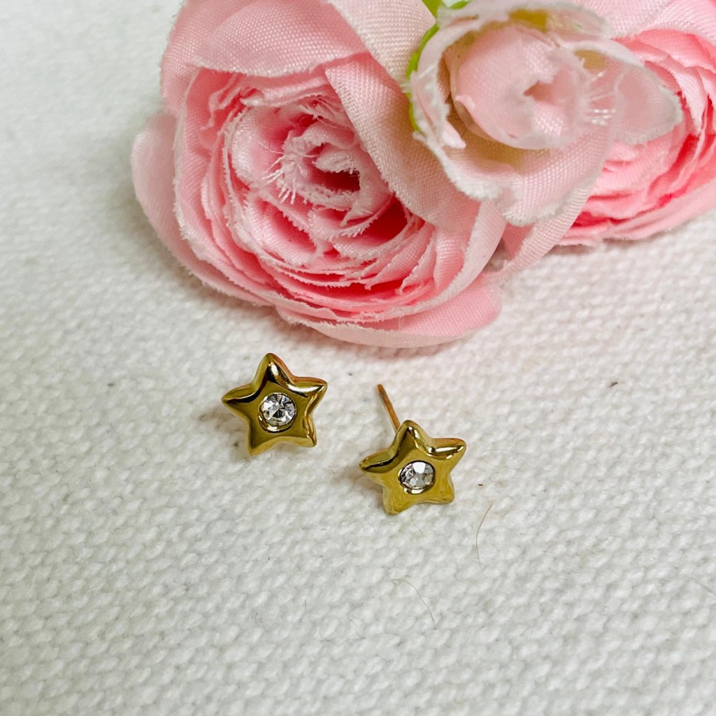 Earrings stainless steel