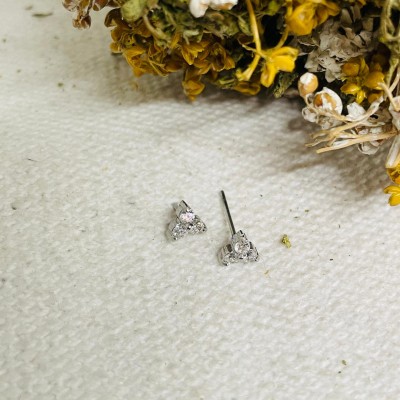 Earrings stainless steel