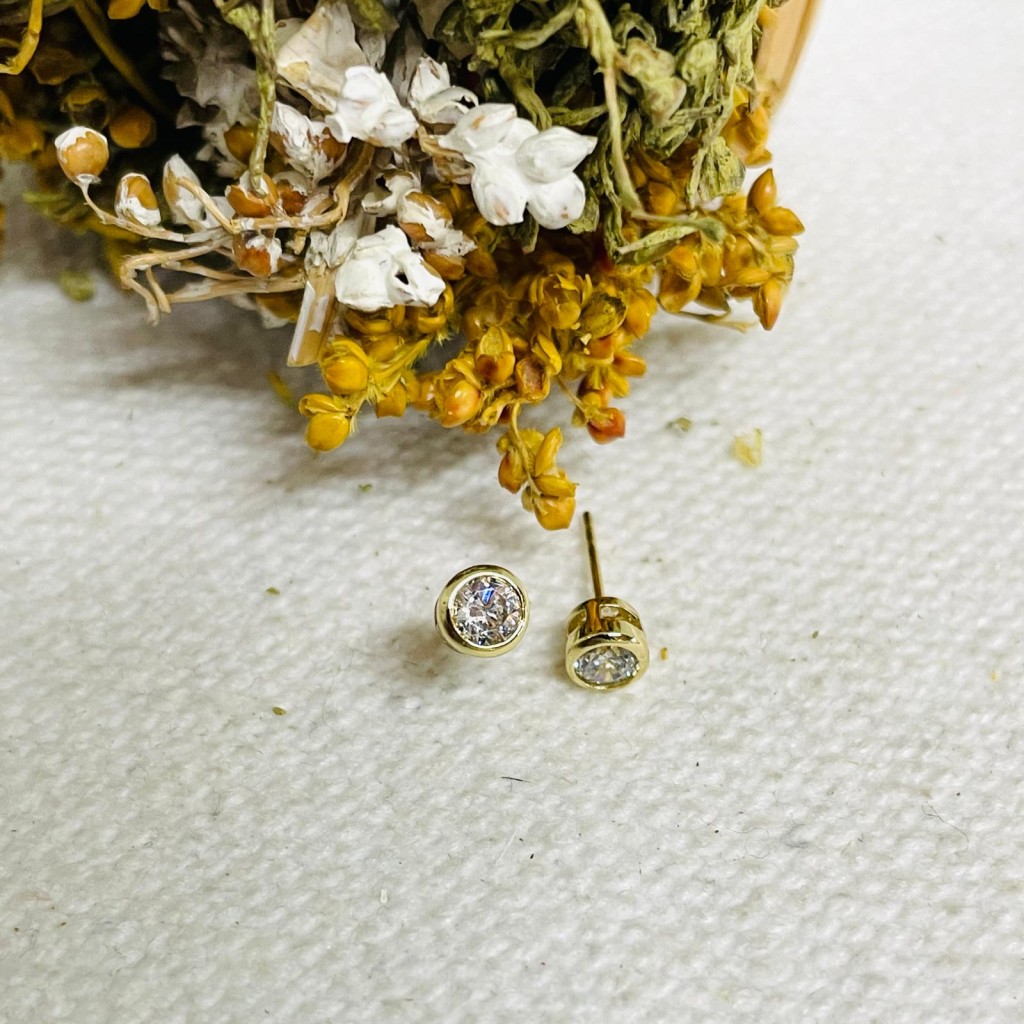 Earrings stainless steel 5mm