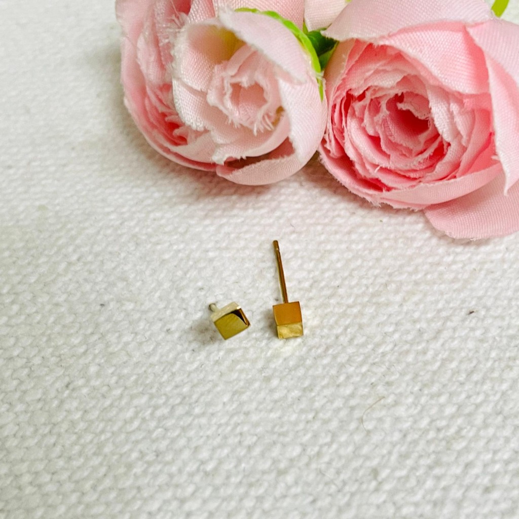 Earrings stainless steel