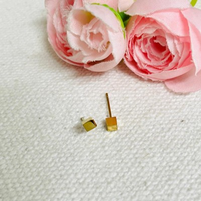Earrings stainless steel
