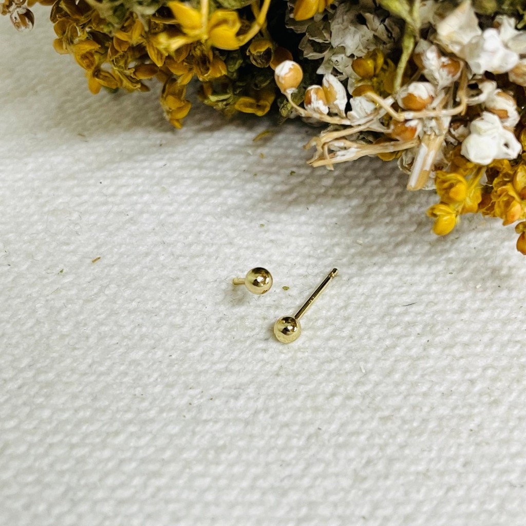Earrings stainless steel 2mm