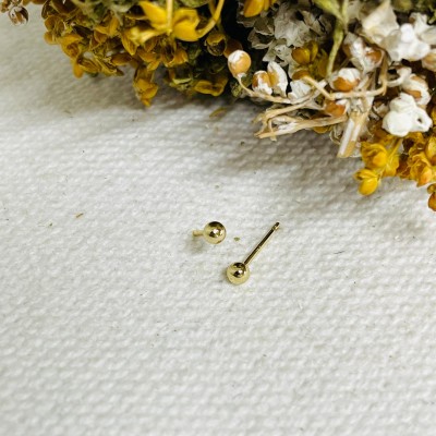 Earrings stainless steel 2mm