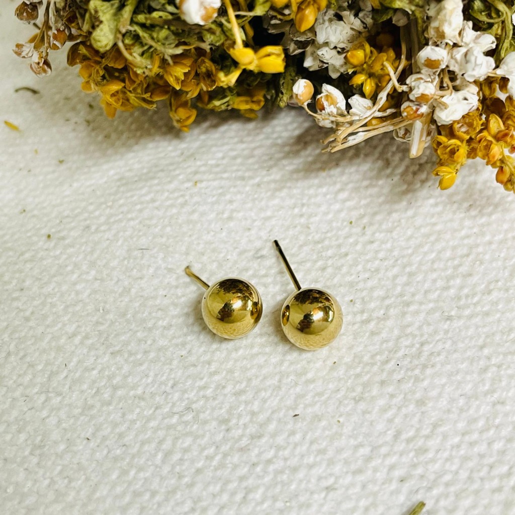 Earrings stainless steel 5mm