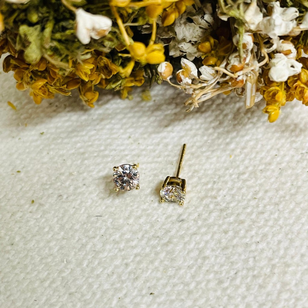 Earrings stainless steel