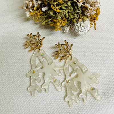 Earrings stainless steel