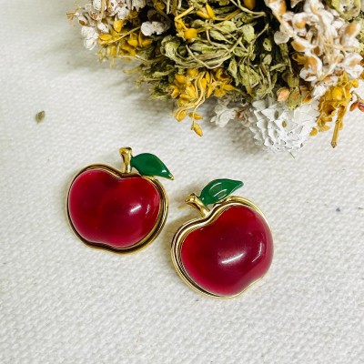 Earrings stainless steel