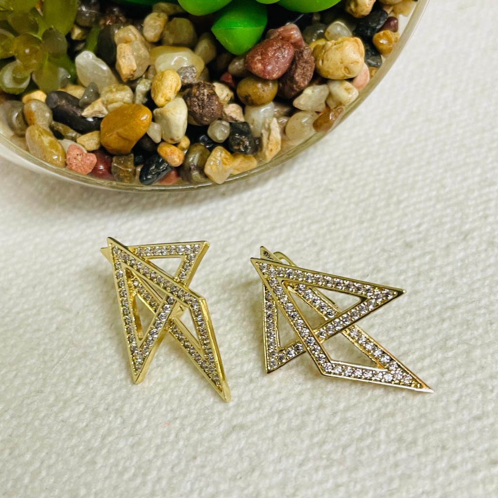 Earrings stainless steel