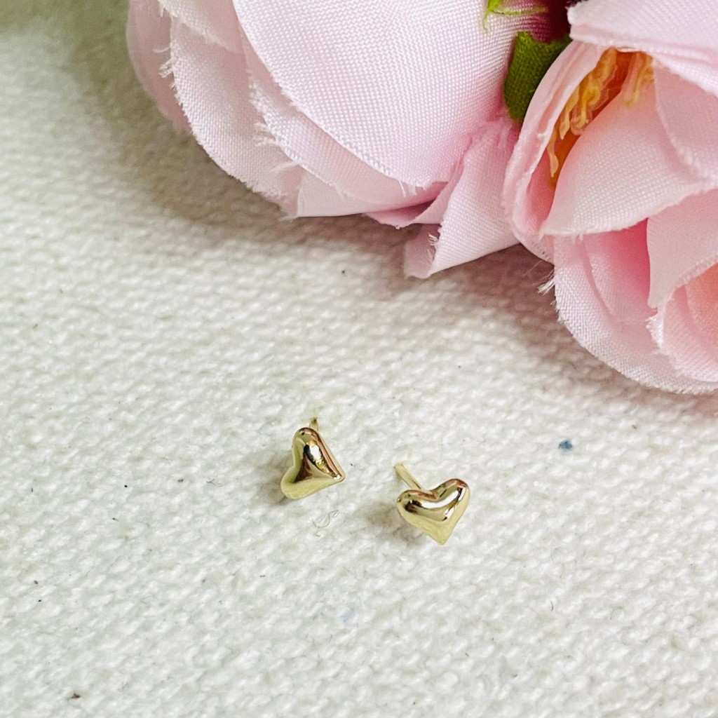 Stud Earrings stainless steel